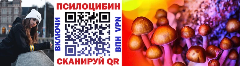 Галлюциногенные грибы Cubensis Ногинск